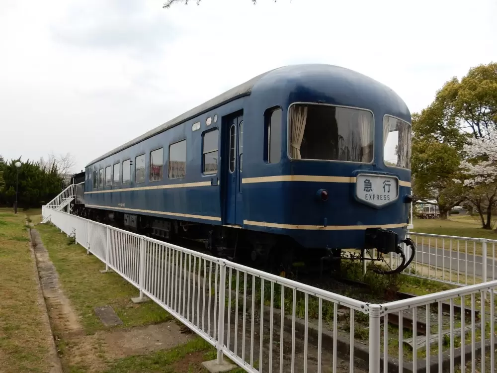 貝塚公園の写真1