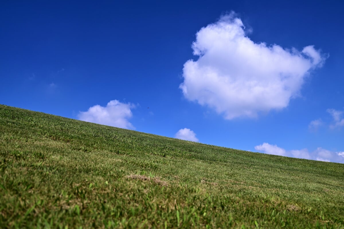 垂水健康公園の写真2