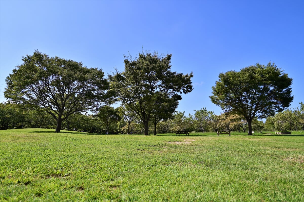 垂水健康公園の写真1