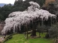 長興山　紹太寺
