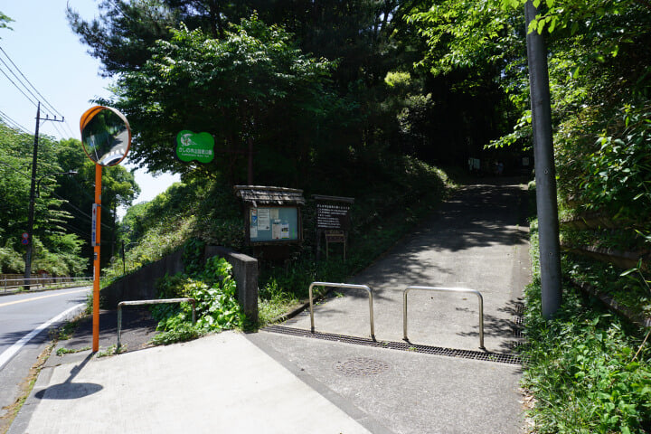 かしの木山自然公園の写真2