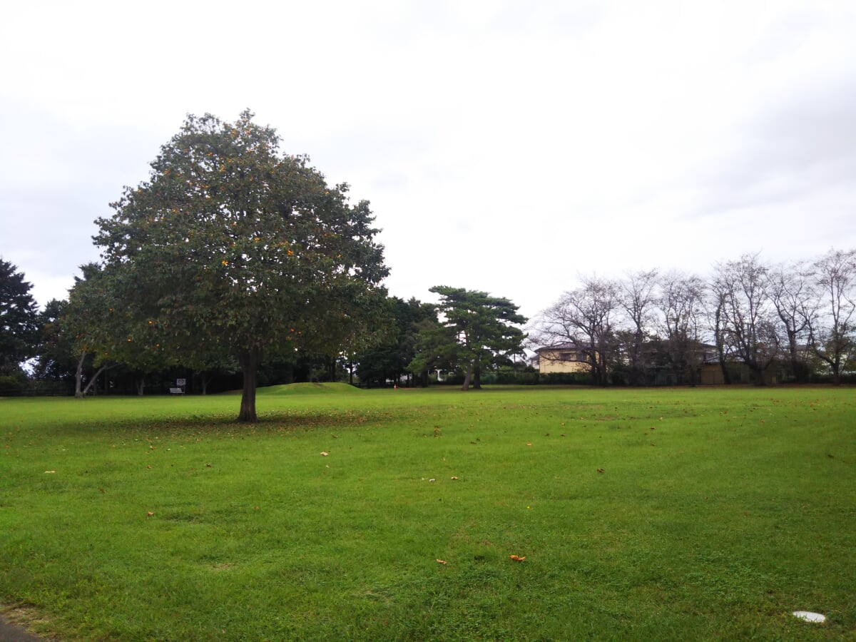 気象台記念公園の写真1