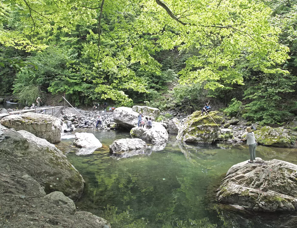 あしがくぼ渓谷国際釣場の写真1