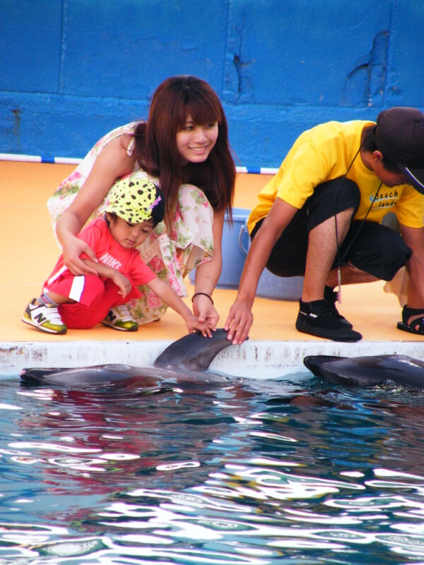 南知多ビーチランド・南知多おもちゃ王国の写真2