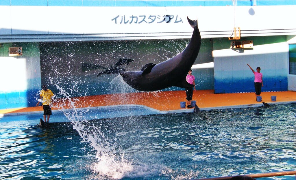 南知多ビーチランド・南知多おもちゃ王国の写真3