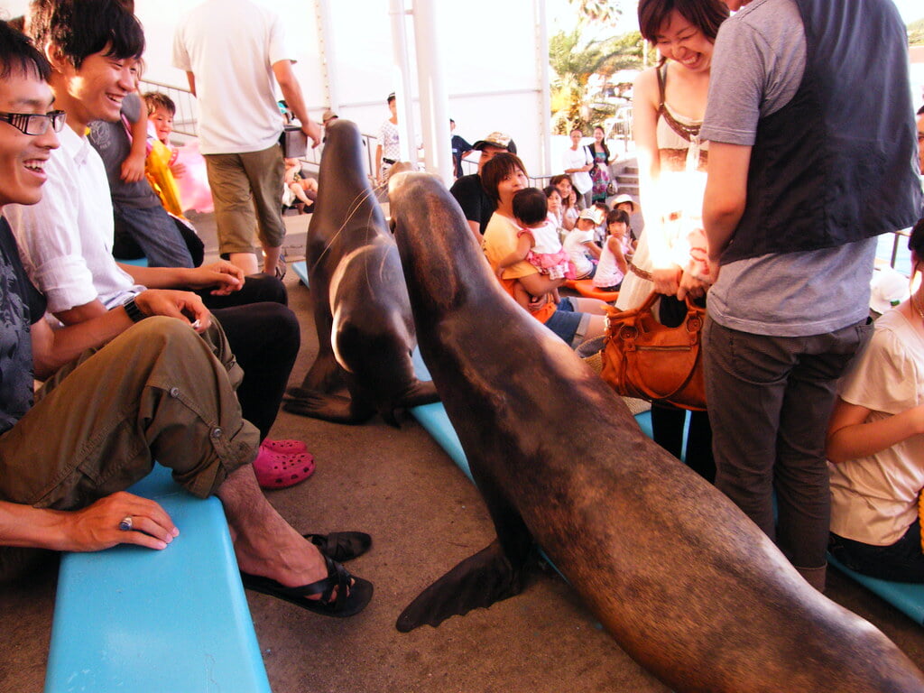 南知多ビーチランド・南知多おもちゃ王国の写真9
