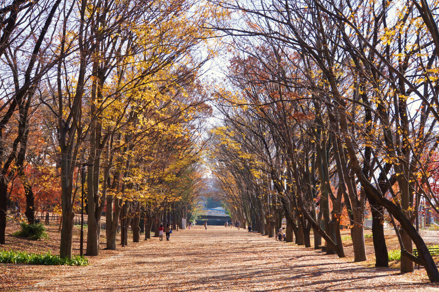 鶴間公園の写真3