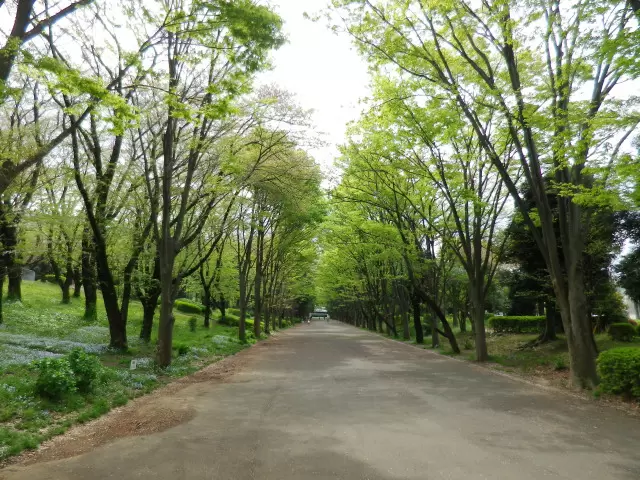 鶴間公園の写真1