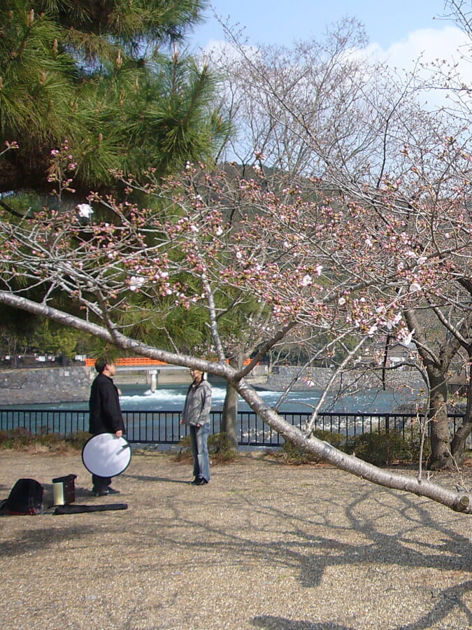 宇治公園の写真1