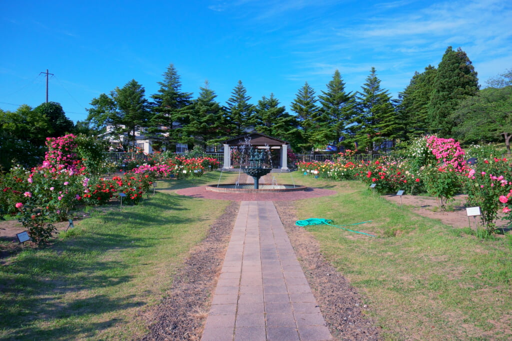 日本国花苑の写真7