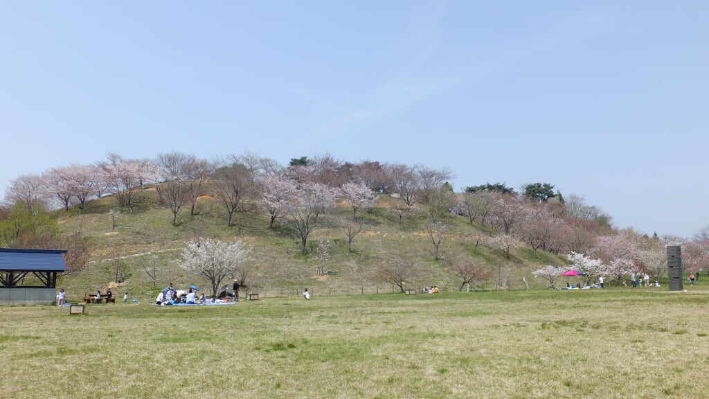 日本国花苑の写真14
