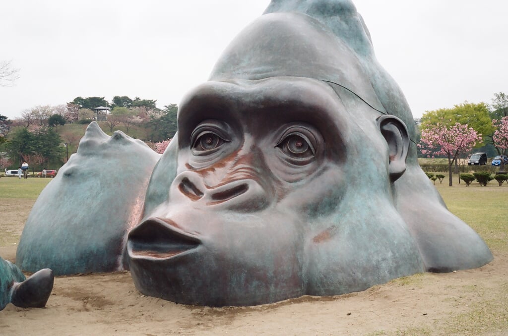 日本国花苑の写真15