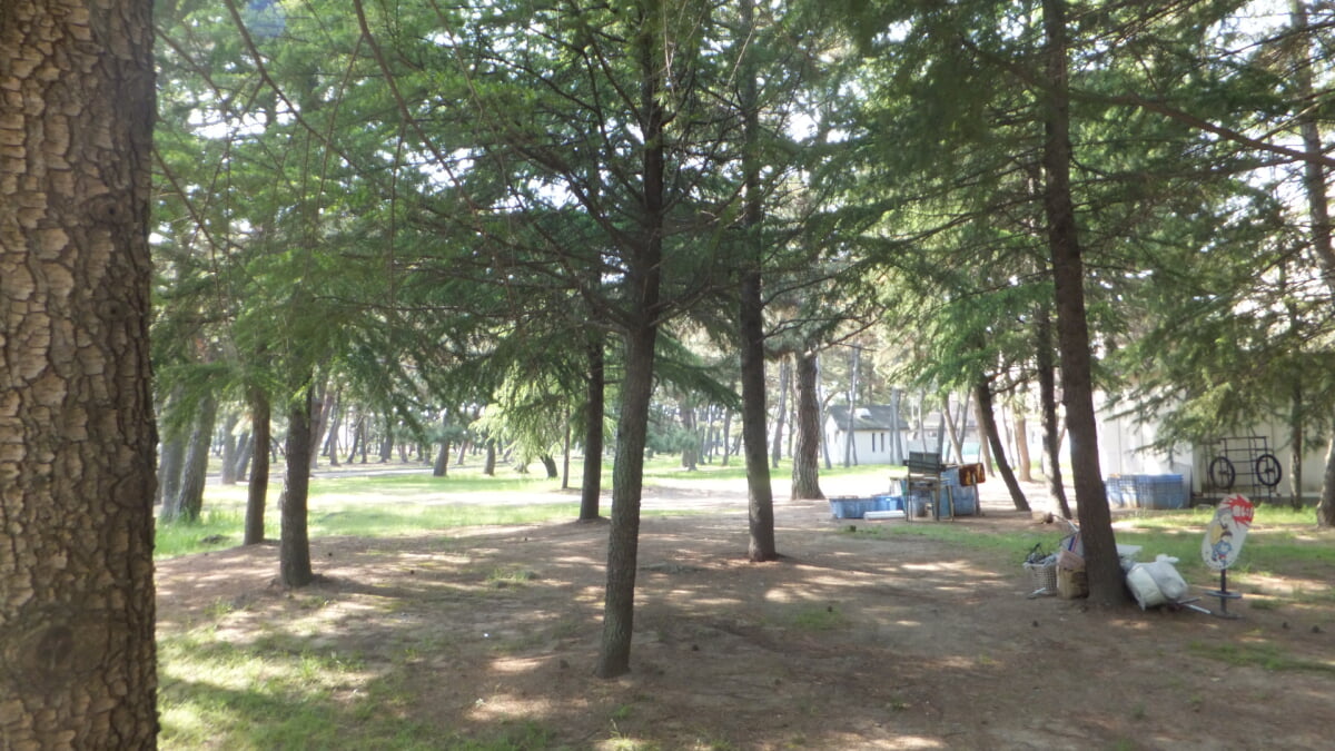 浜の宮公園の写真2