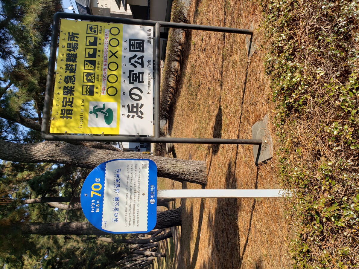 浜の宮公園の写真1