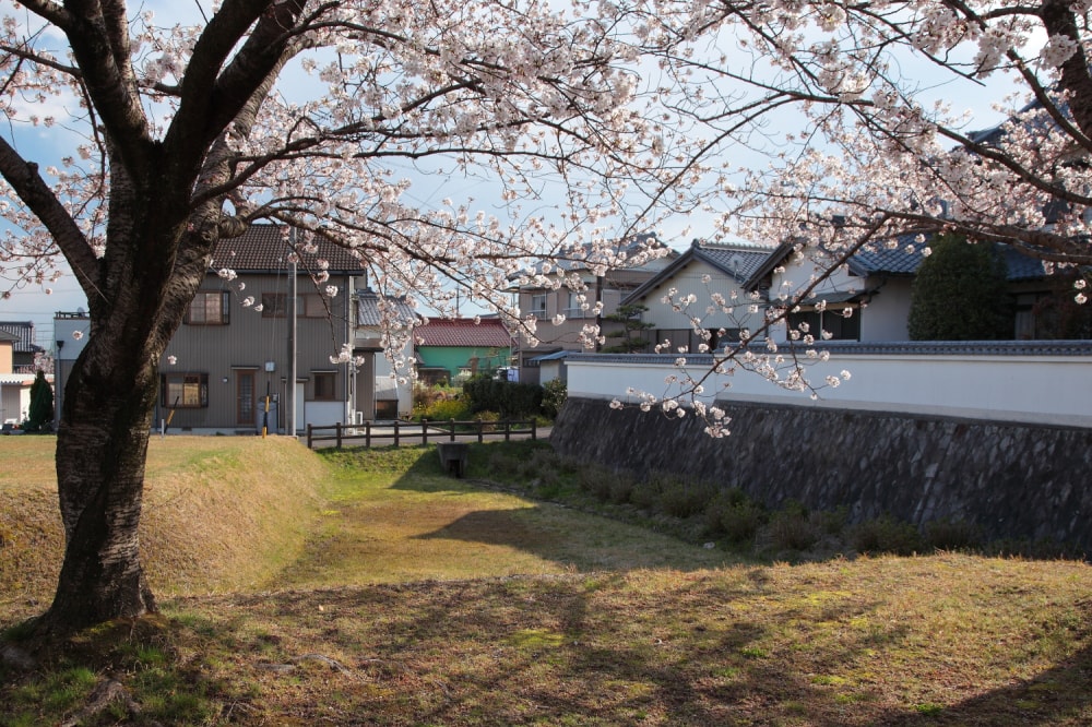 沓掛城址の写真3