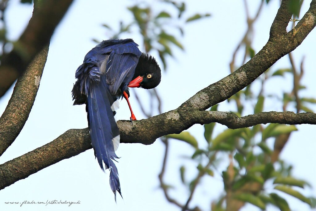 前山公園の写真1