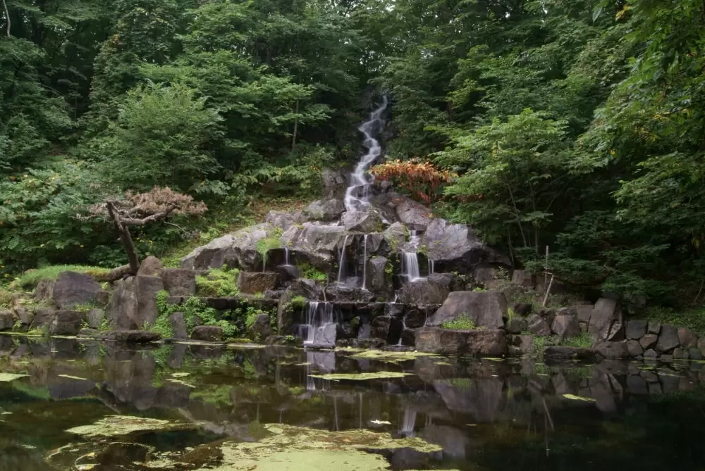 神楽岡公園の写真1