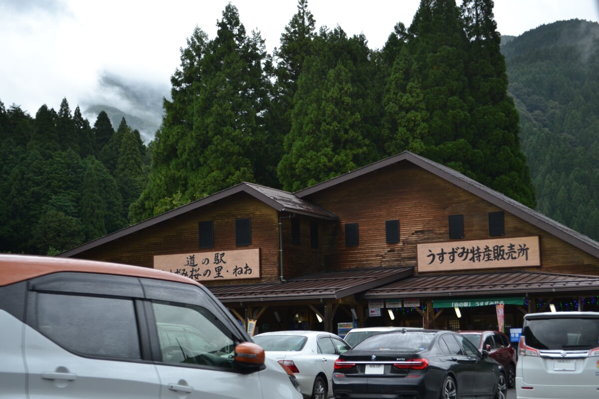 道の駅 うすずみ桜の里 ねおの写真1