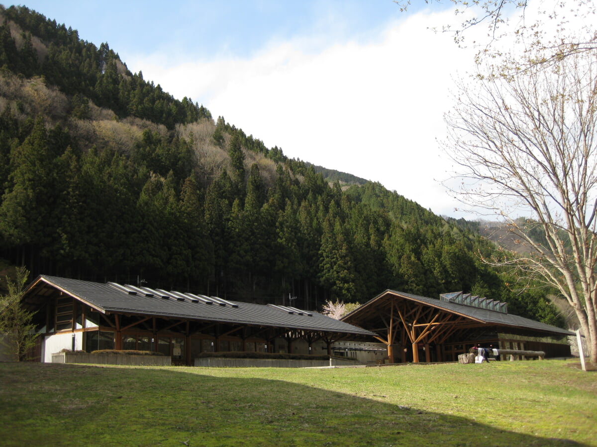 彩の国ふれあいの森　埼玉県森林科学館の写真1