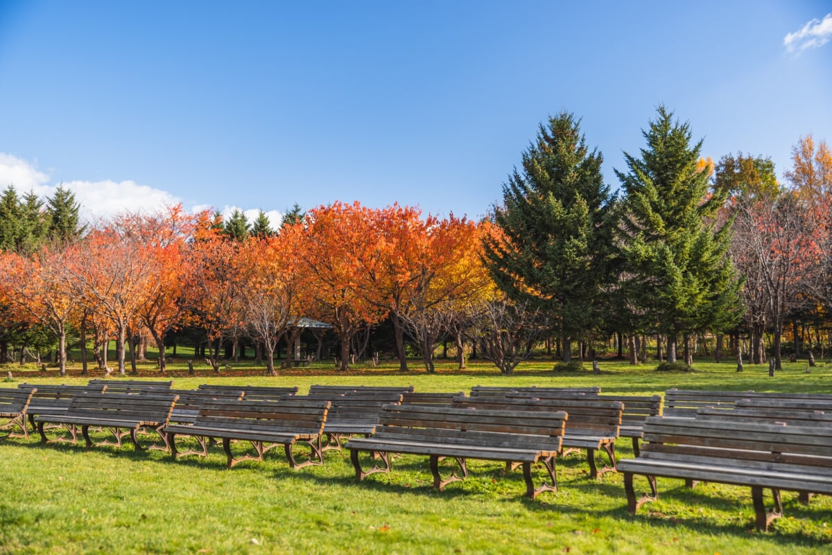 星観緑地の写真4
