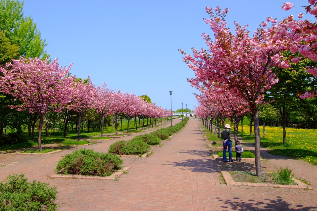 星観緑地の写真5