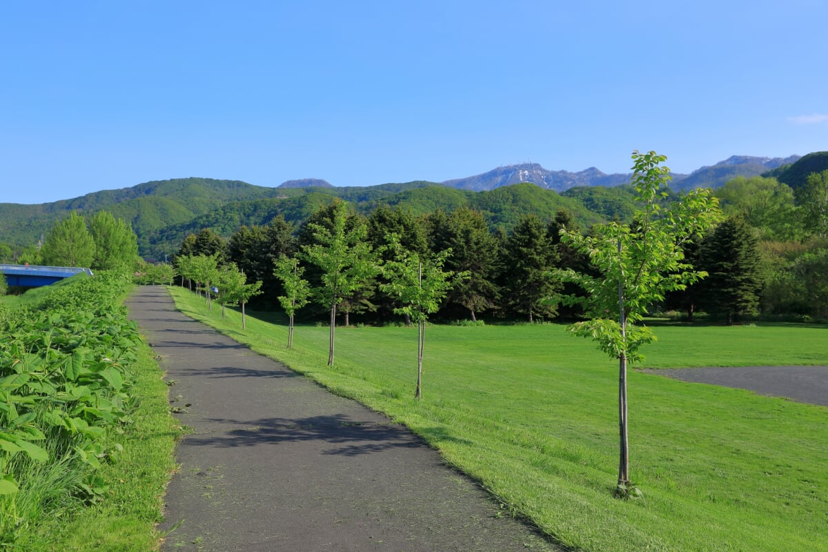 星観緑地の写真6