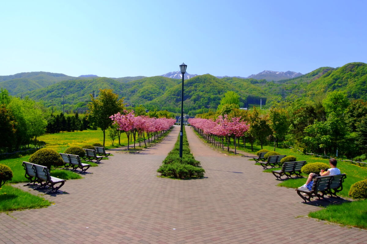 星観緑地の写真7