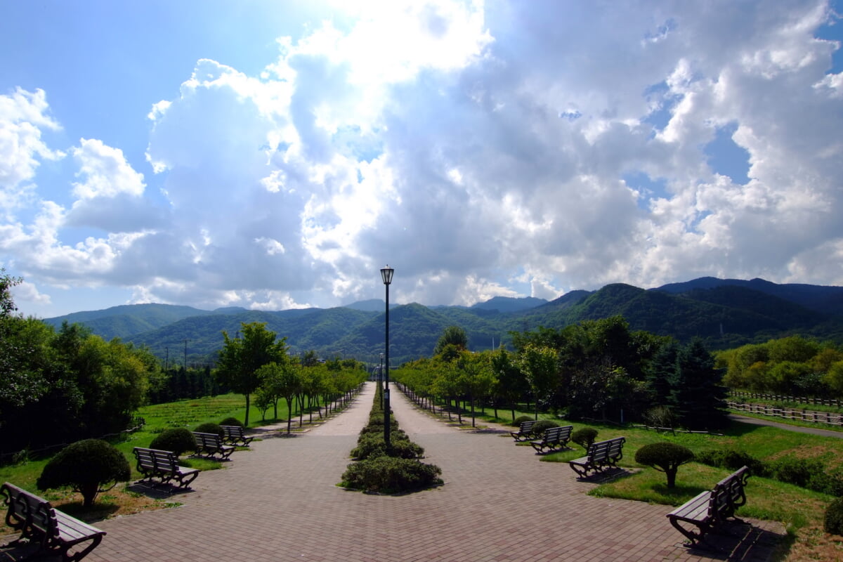 星観緑地の写真8