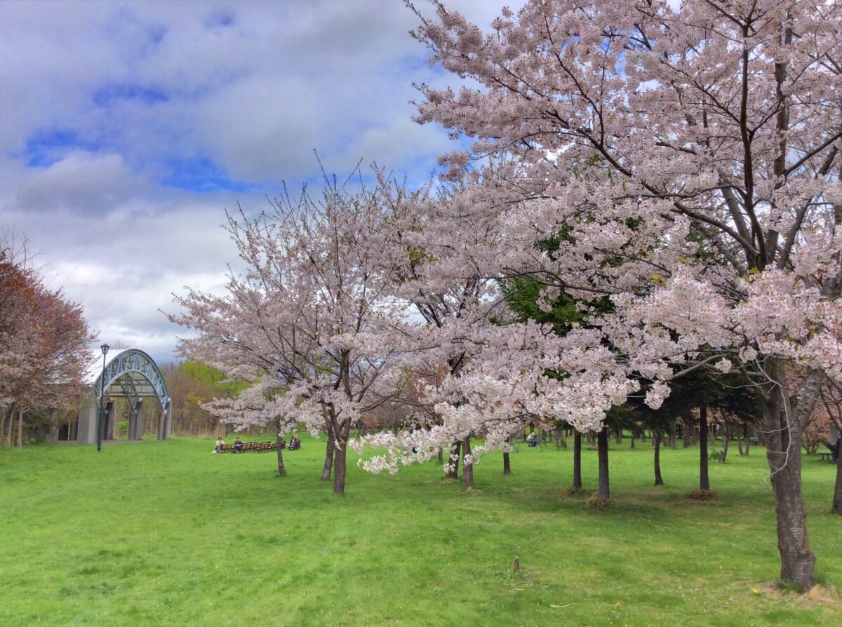 星観緑地の写真9