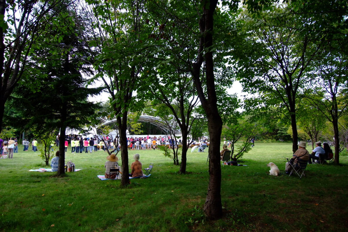 星観緑地の写真11