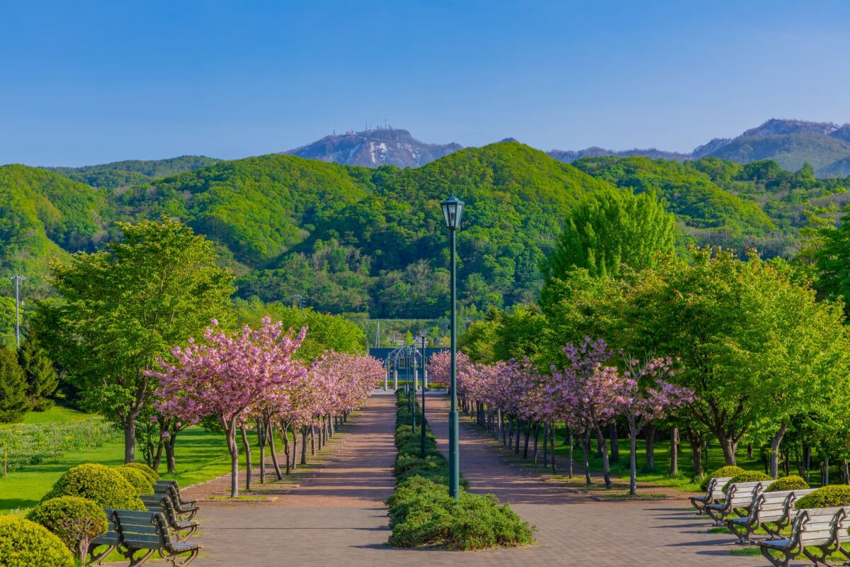 星観緑地の写真12