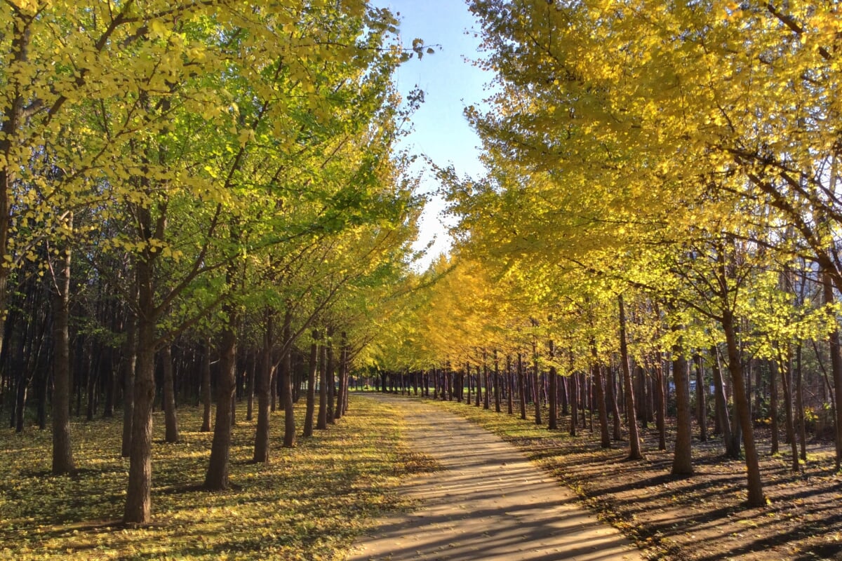 星観緑地の写真15