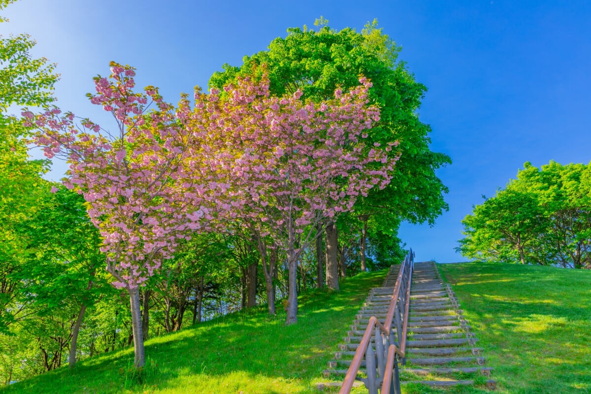 星観緑地の写真16