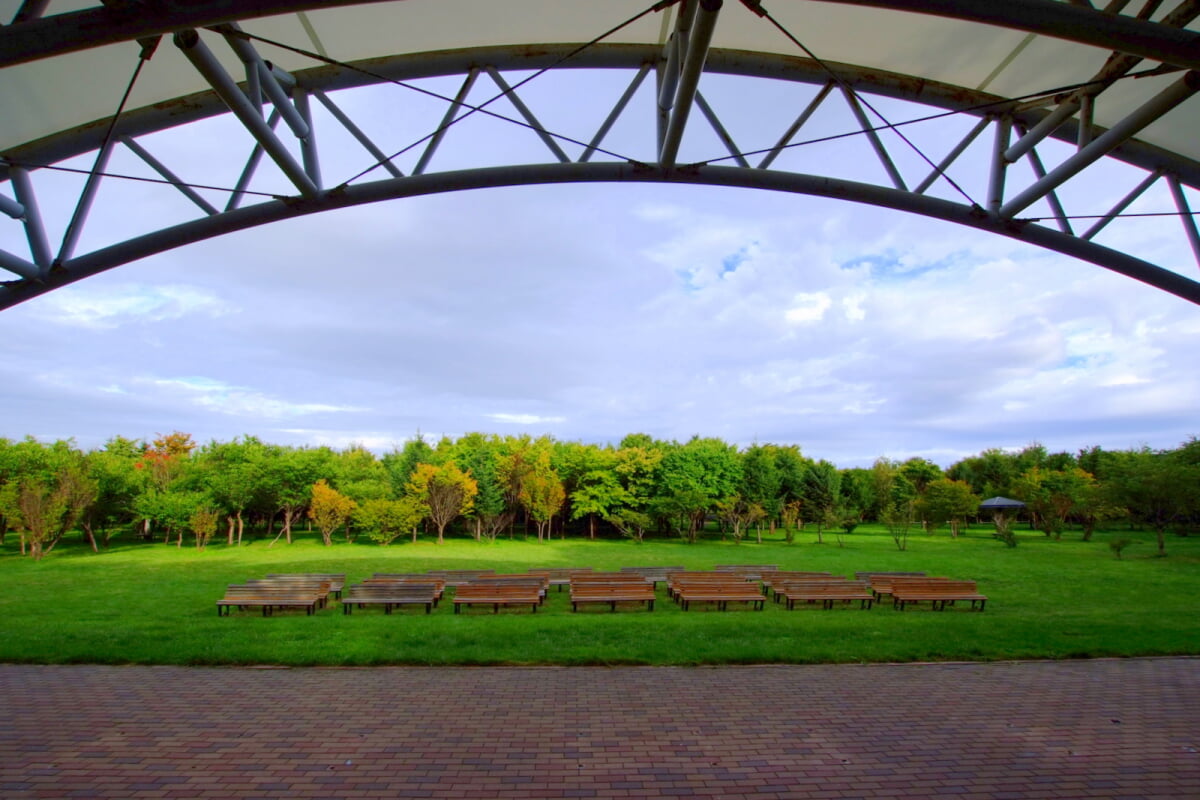 星観緑地の写真20