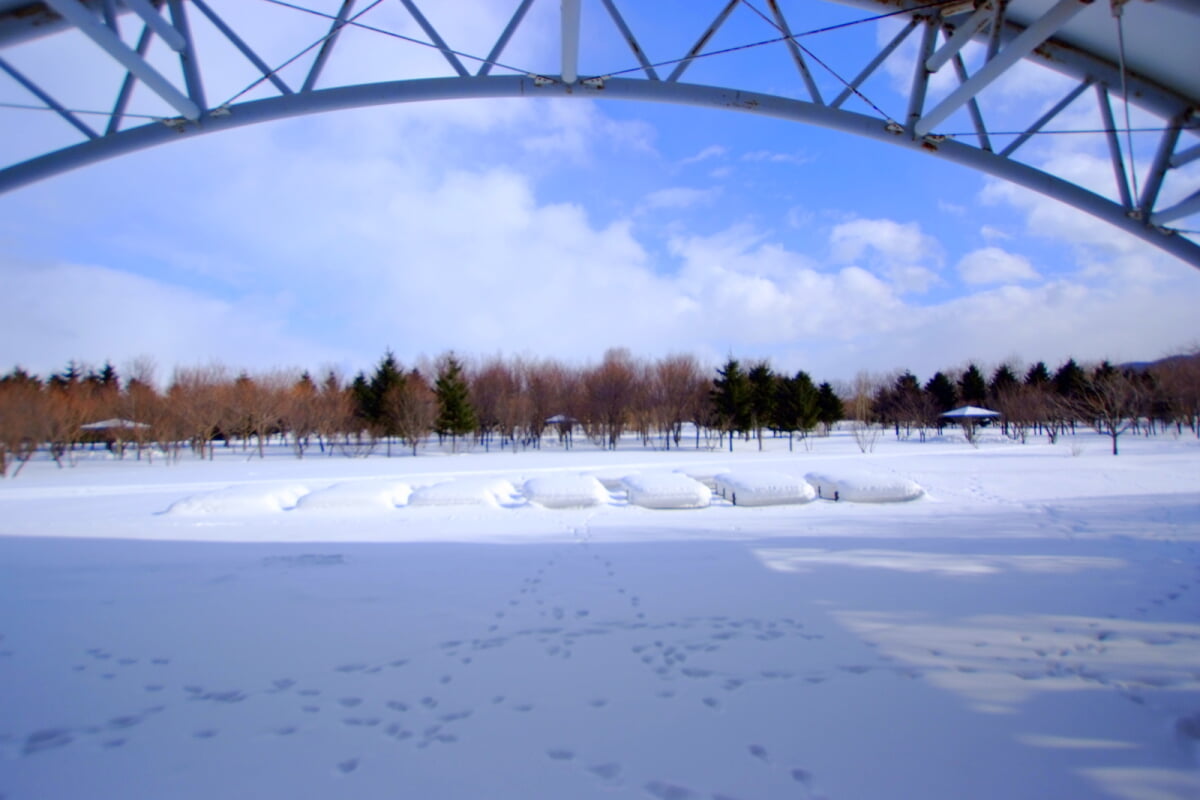 星観緑地の写真21
