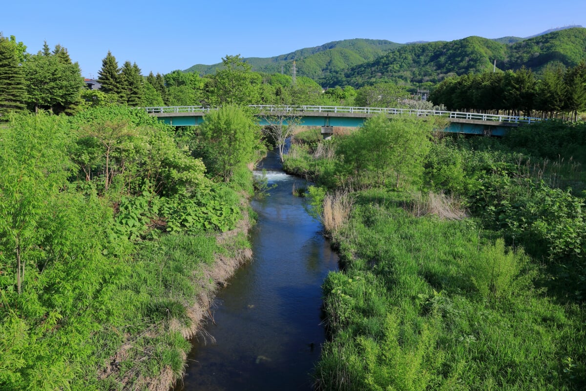 星観緑地の写真22