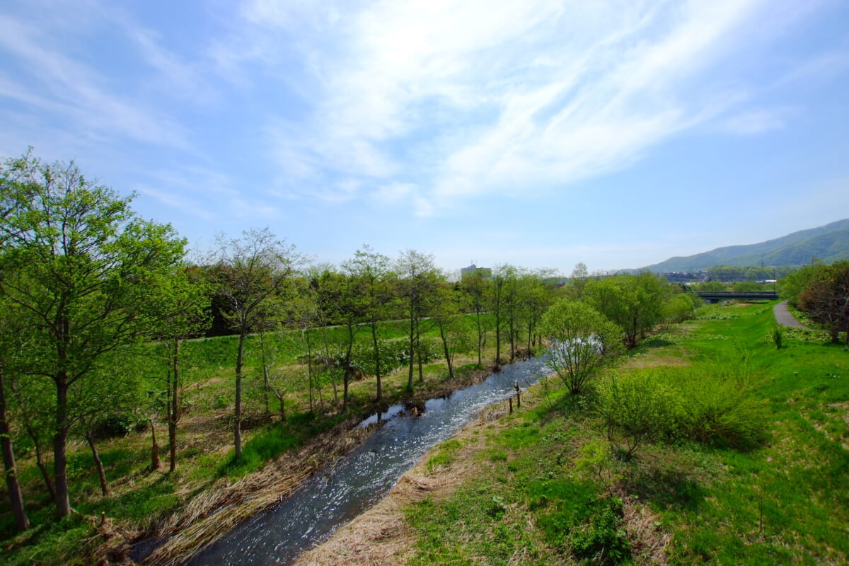 星観緑地の写真24