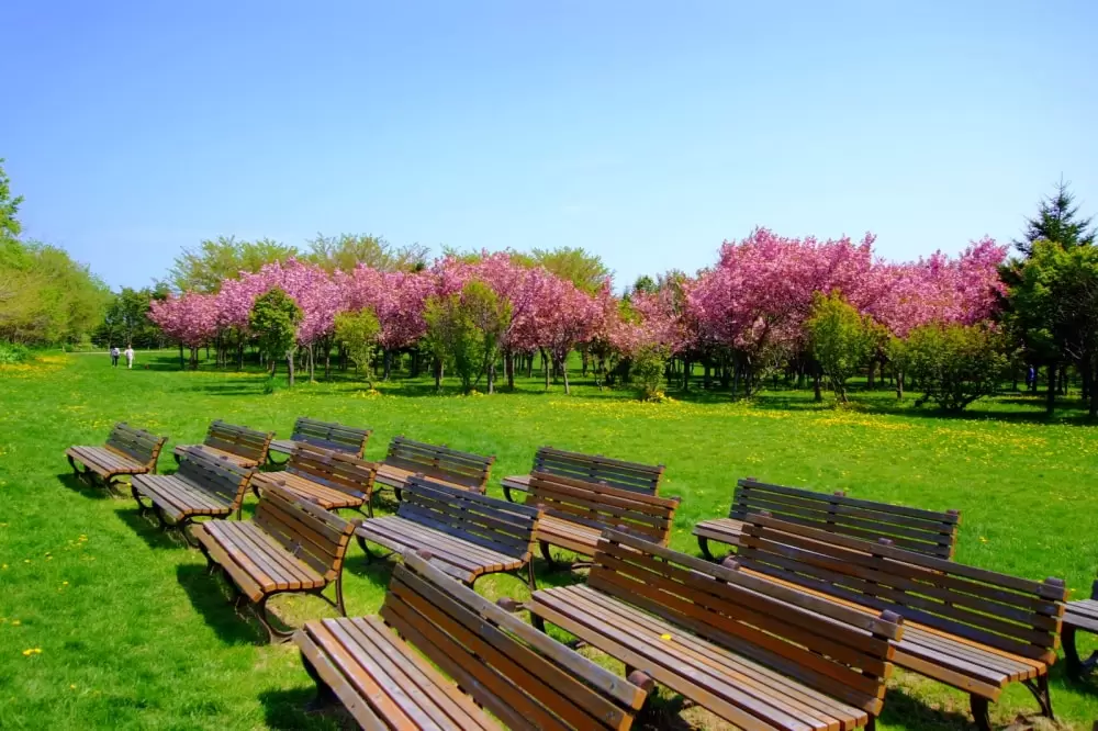 星観緑地の写真1