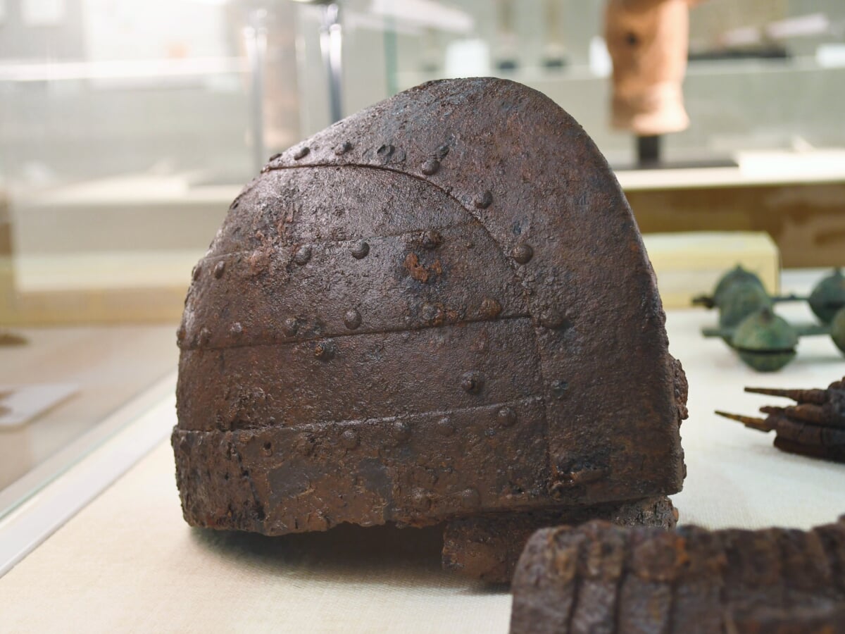 早稲田大学會津八一記念博物館の写真1