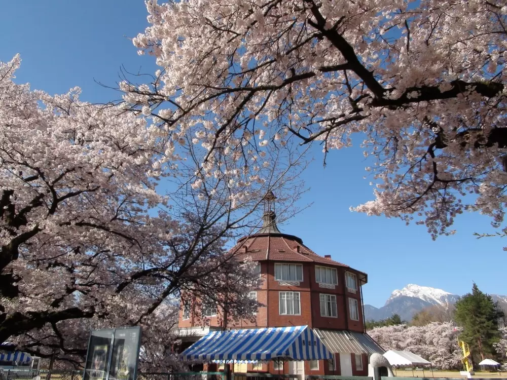 清春白樺美術館の写真1