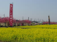 中川やしおフラワーパーク