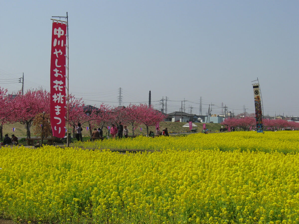 中川やしおフラワーパークの写真1