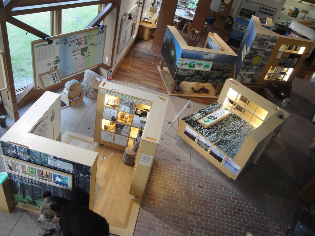 川湯エコミュージアムセンターの写真6