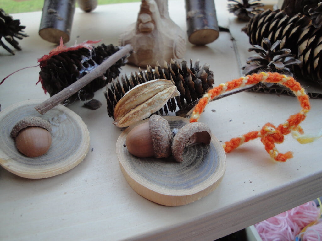 川湯エコミュージアムセンターの写真8