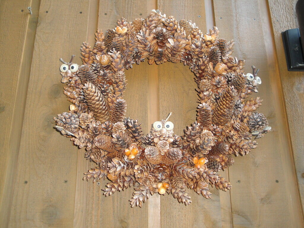 川湯エコミュージアムセンターの写真9