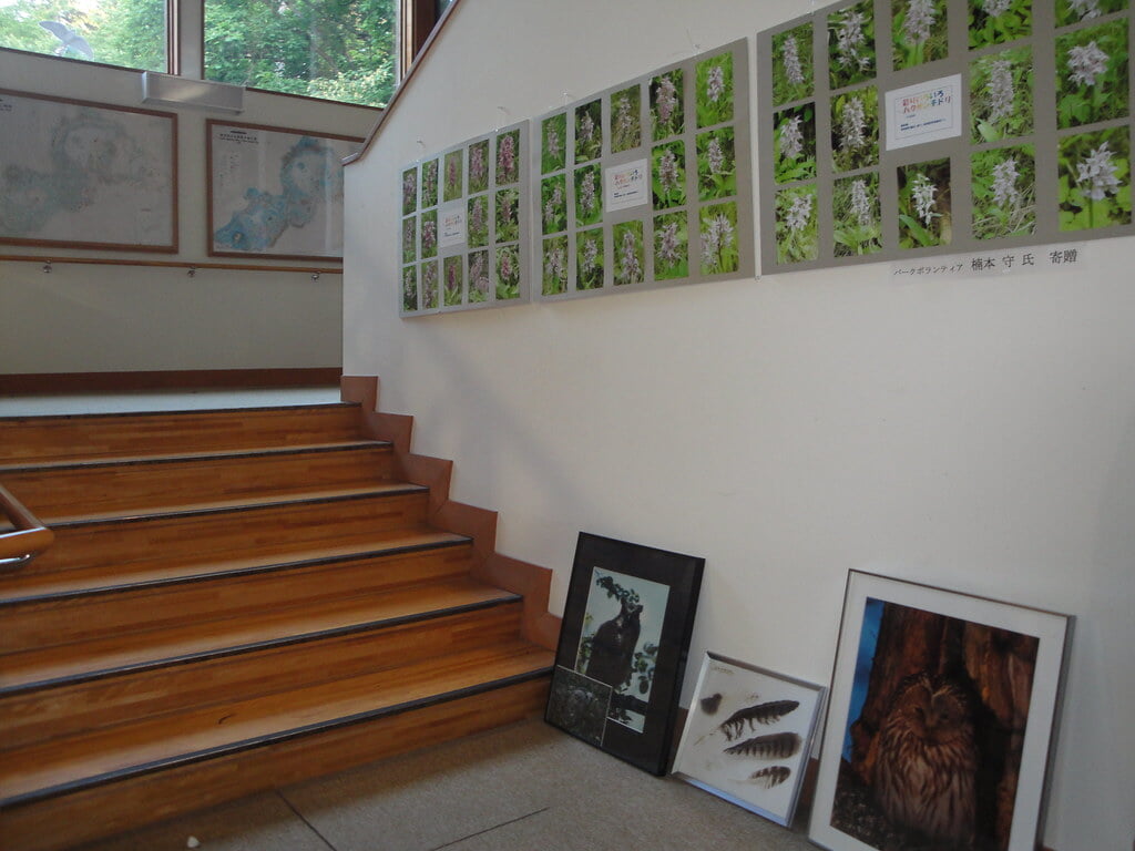 川湯エコミュージアムセンターの写真12