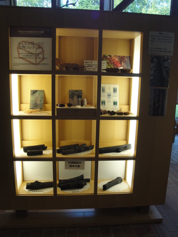 川湯エコミュージアムセンターの写真16