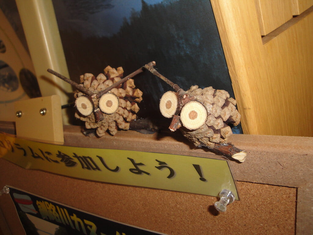 川湯エコミュージアムセンターの写真19