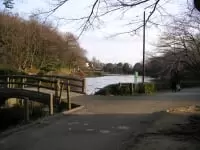 じゅん菜池緑地