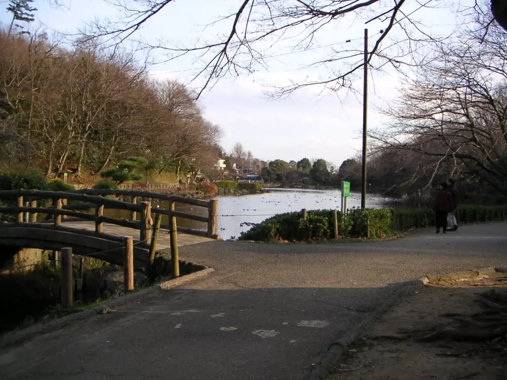 じゅん菜池緑地の写真1